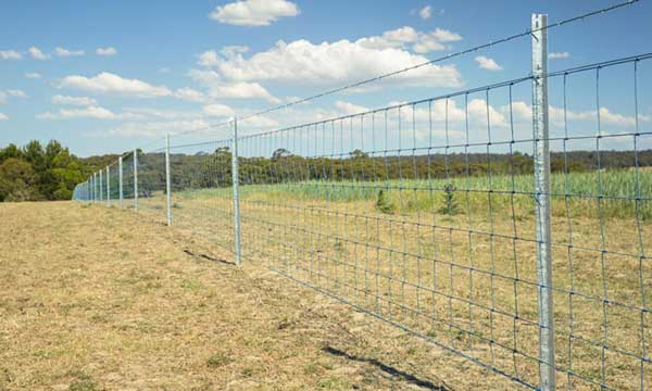 farm wire fencing